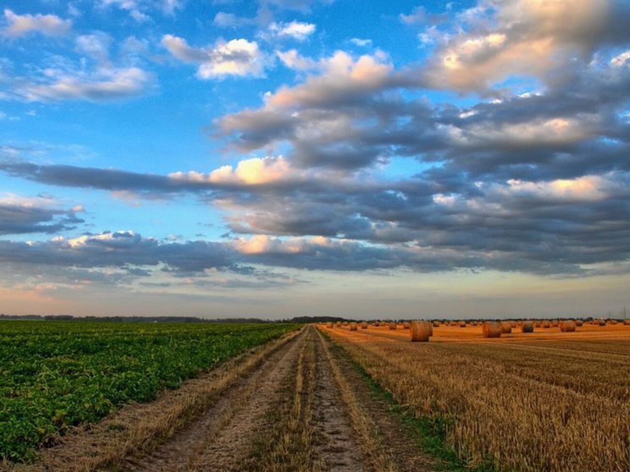 Станом на 1 січня 2019 року в Україні укладено 5 млн договорів оренди земельної частки, повідомили в Держгеокадастрі