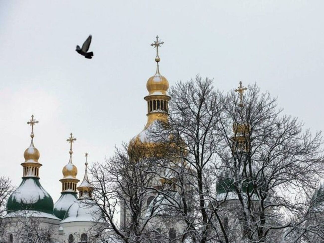 У Житомирській єпархії ПЦУ одержували погрози від ієрарха Української православної церкви Московського патріархату