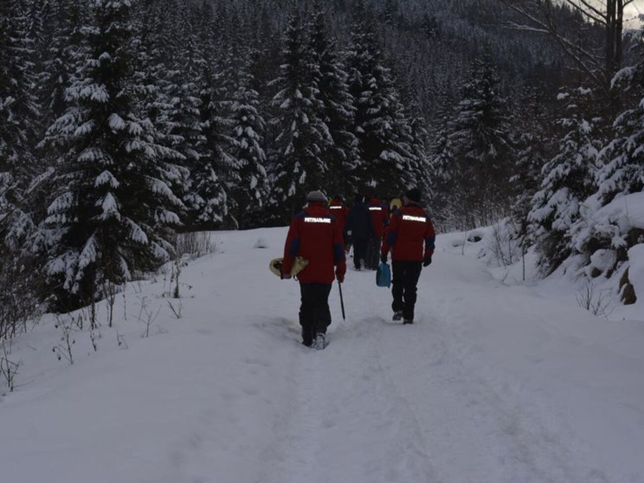 У пошуках туристки брало участь 37 осіб