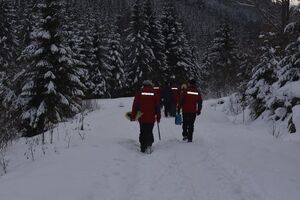 У пошуках туристки брало участь 37 осіб