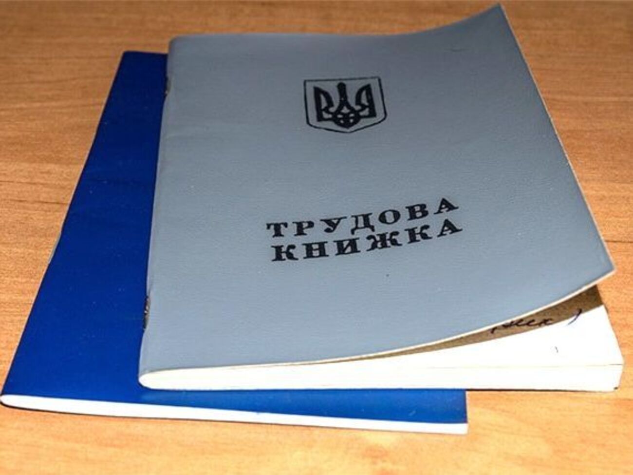 Мінсоцполітики хоче законодавчо визначити ознаки трудових відносин