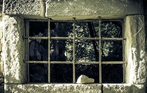 “Последний статус” – это статус пожизненно заключенного, это взгляд на украинскую тюремную систему изнутри глазами человека, у которого нет шанса выйти на свободу