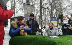 Чтобы узнать, какой будет весна, сурка достают из норы