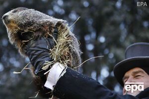 В Панксатони ежегодно 2 февраля будят сурка Фила