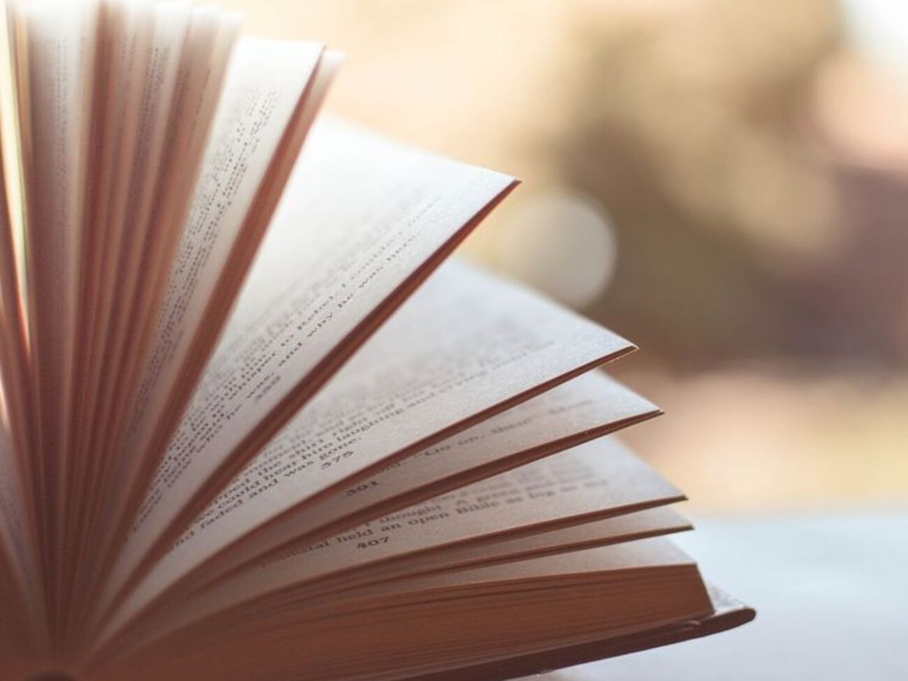 Госкомтелерадио не разрешило ввоз в Украину 19 книг