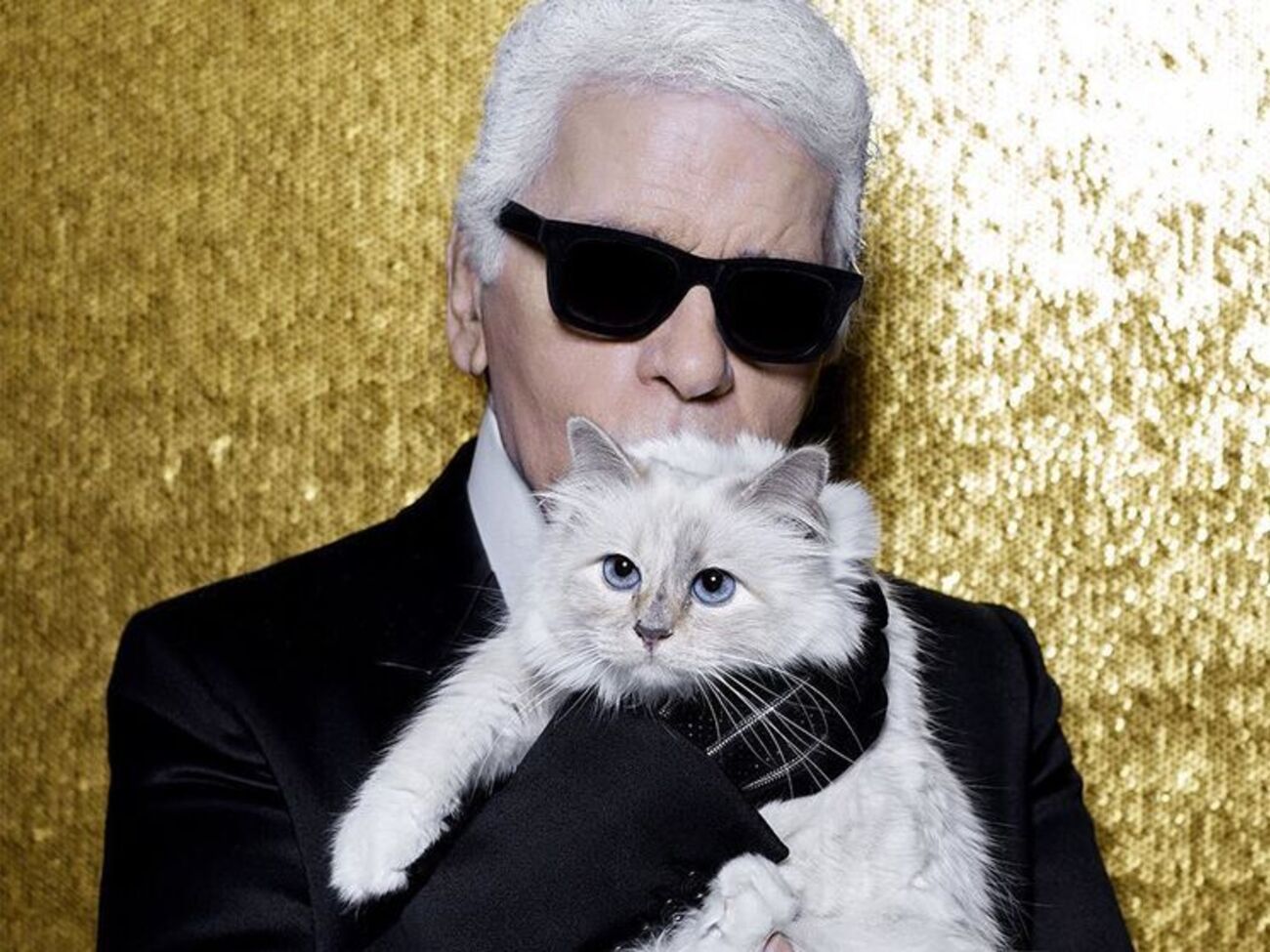 Лагерфельд ще у 2015 році переказав гроші на рахунок кішки