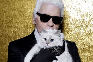 Лагерфельд ще у 2015 році переказав гроші на рахунок кішки