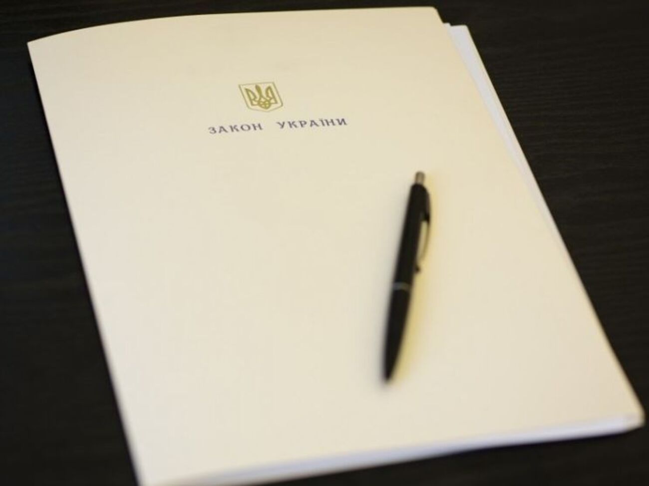 Документ набуде чинності 21 лютого