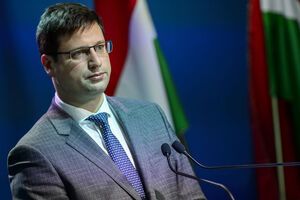 Венгрия ждет, что Украина изменит закон "Об образовании", заявил Гуяш