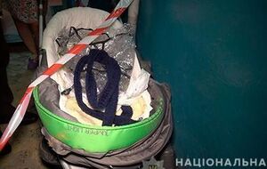 В ходе досудебного расследования следствие установило всех причастных к гибели ребенка