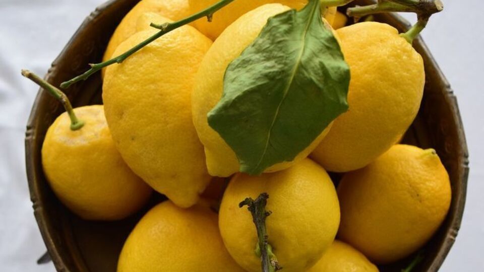 Супрун назвала еще одним мифом распространенное мнение, что больше всего витамина С в лимонах