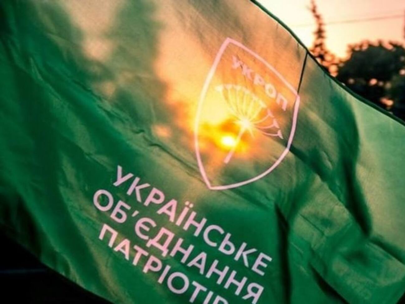 УКРОП: Причетні до цієї справи будуть покарані вже за нової, патріотичної влади