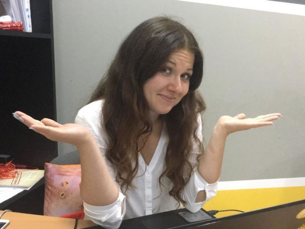 Іванова: Ми мусили витратити час на перевірку