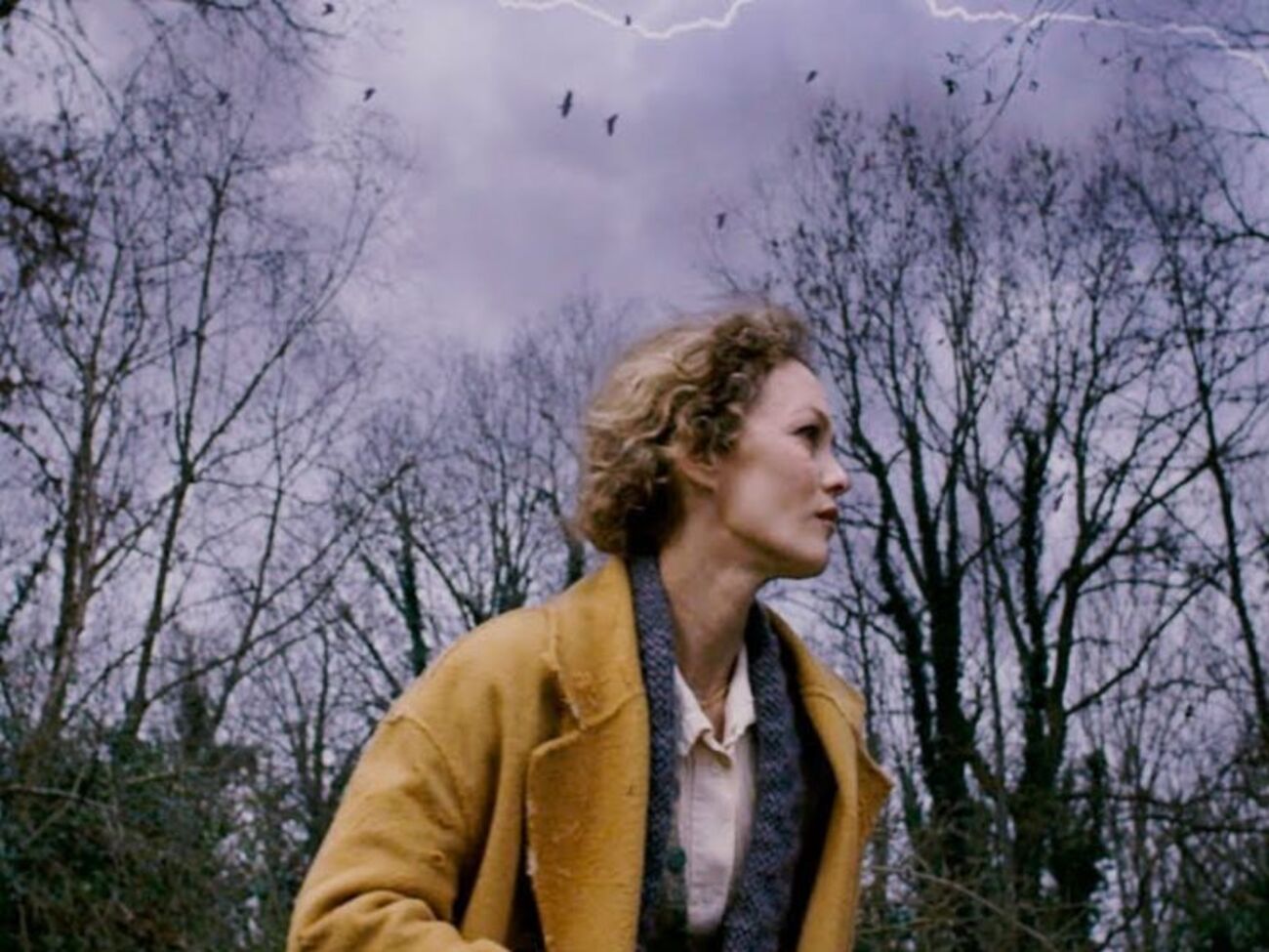 Паради спела о любви в заснеженном Киеве