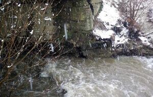 В реках Закарпатской области ожидается подъем уровня воды на 0,5–1,5 м