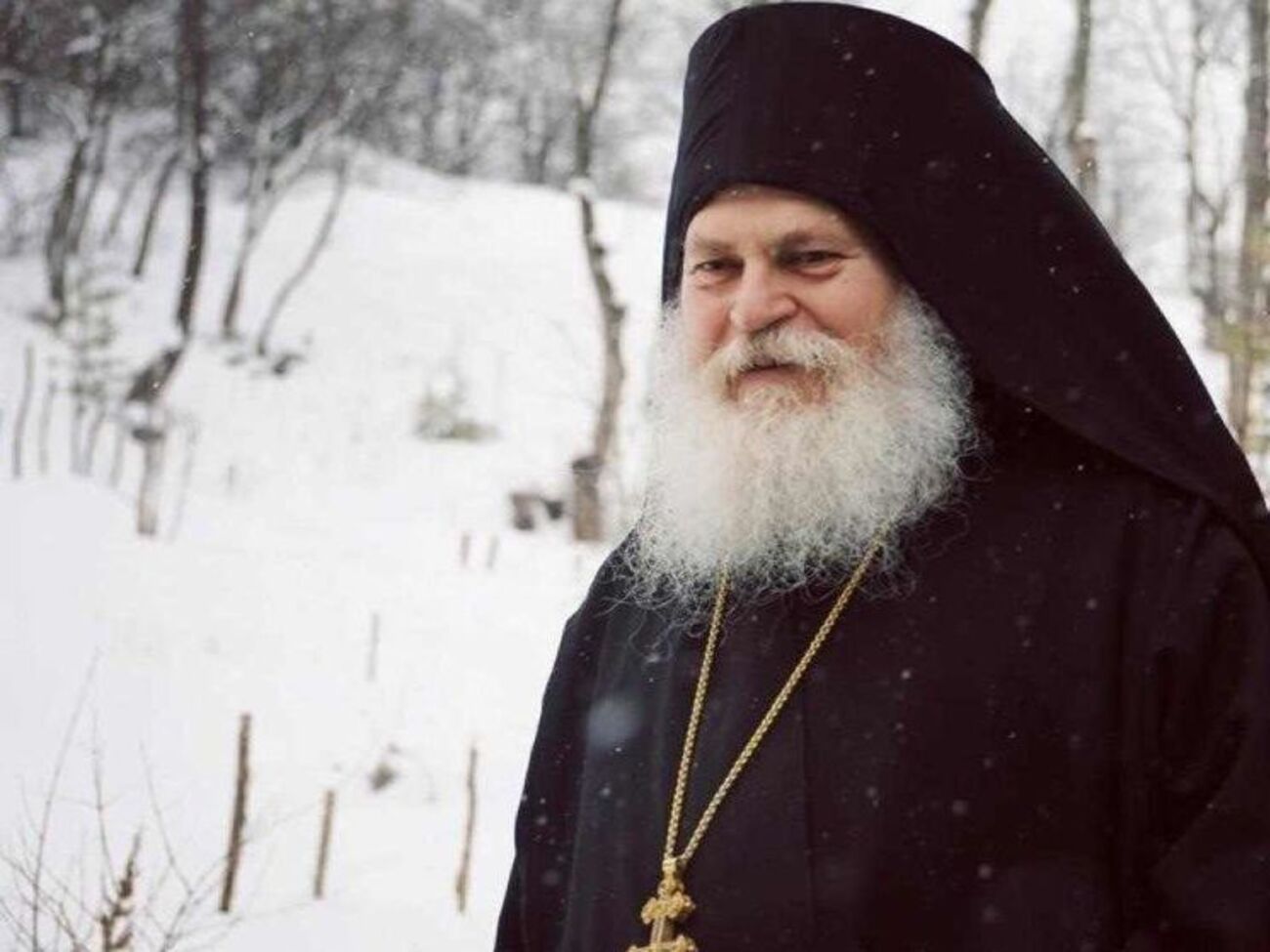 Ефрем прилетал в Киев на интронизацию Киевского митрополита