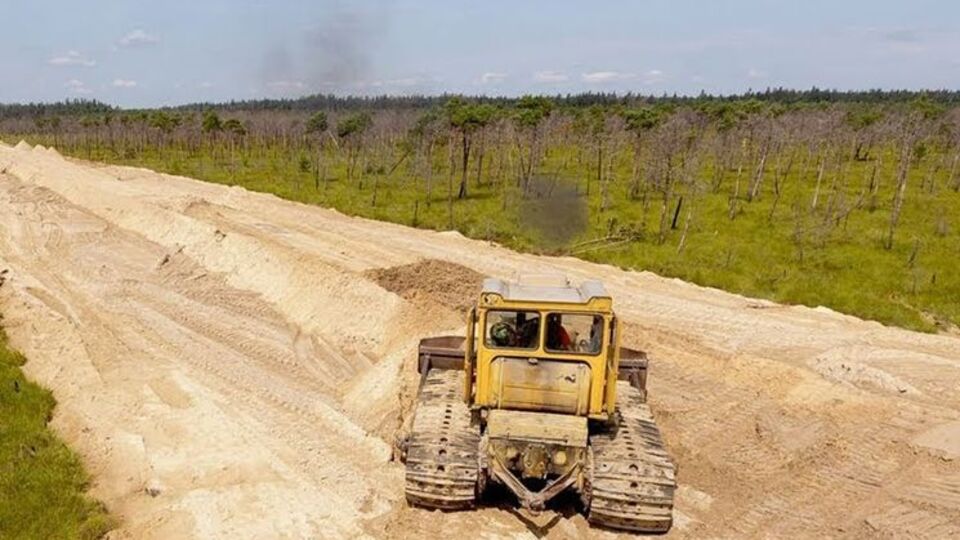 Дороги прокладають через заповідник у Брестській області