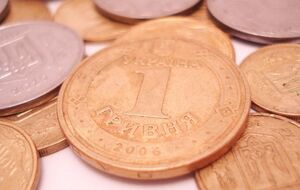 Власти полагают, что выплата субсидий наличными стимулирует энергосбережение