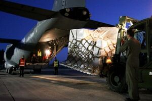 Вооруженные силы Литвы не планируют использовать боеприпасы, которые будут доставлены в Украину