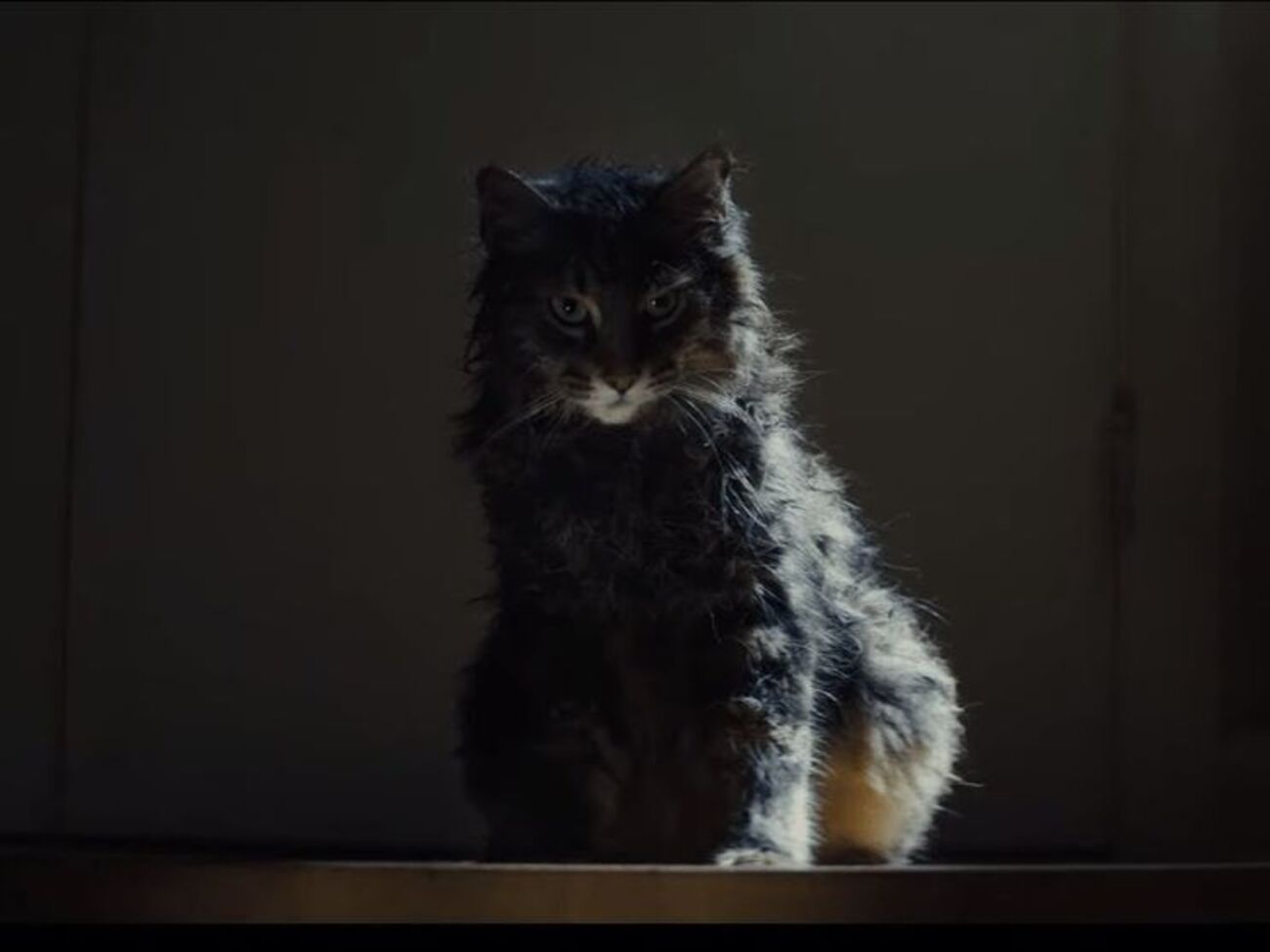 Премьера запланирована на апрель 2019 года