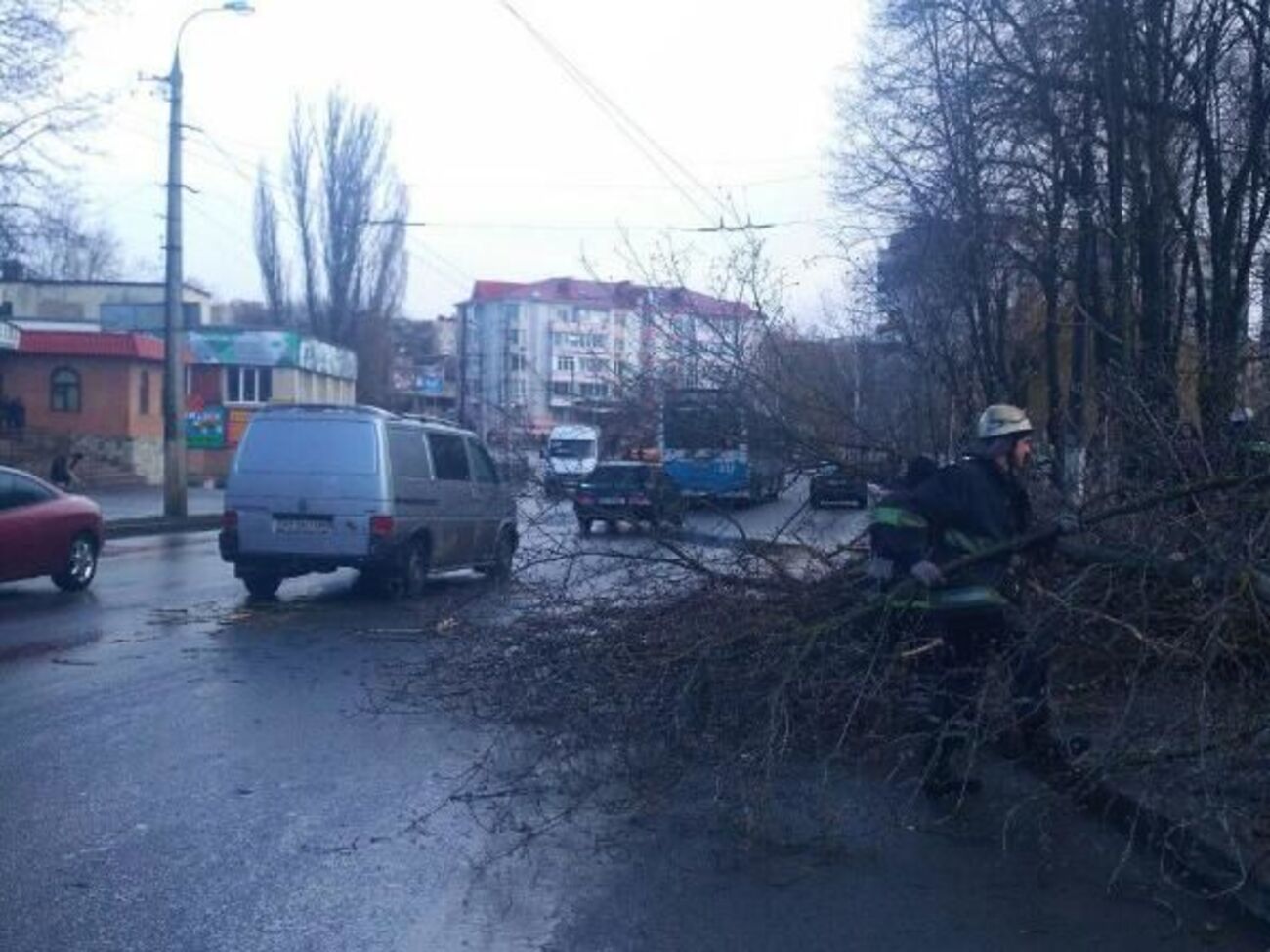 Девочка, на которую упало дерево в Виннице, скончалась в карете скорой помощи