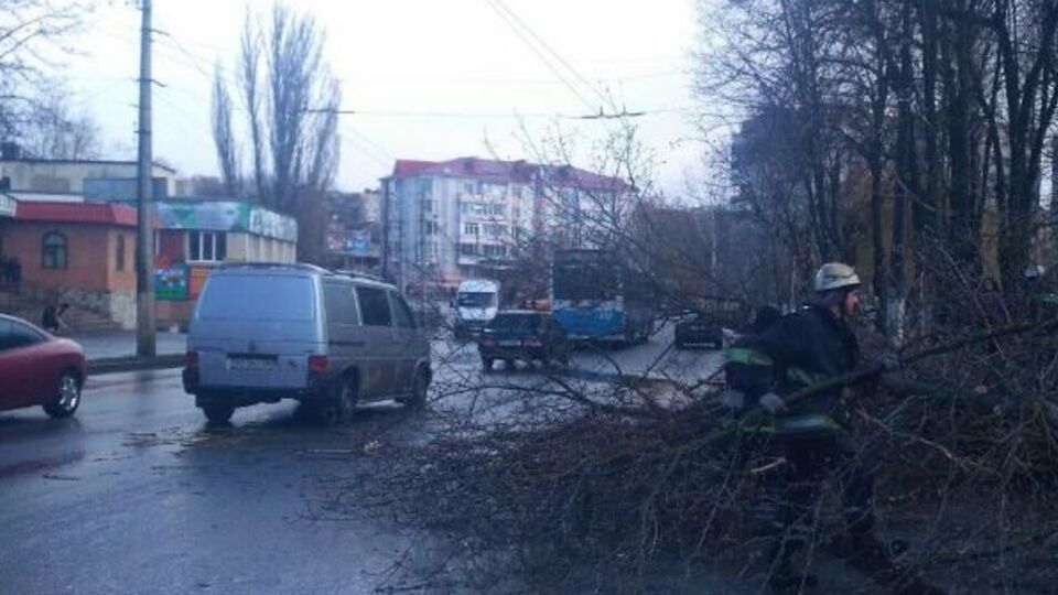 Девочка, на которую упало дерево в Виннице, скончалась в карете скорой помощи