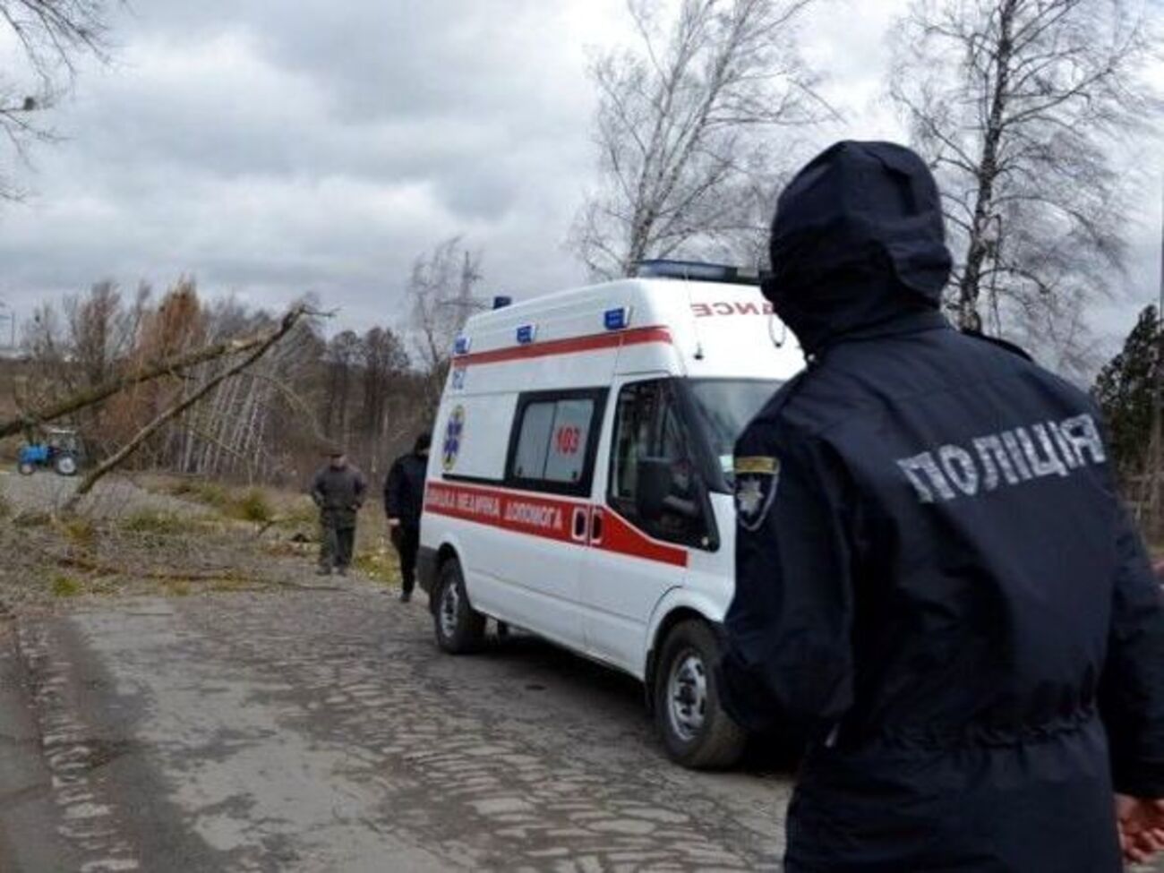 Під час урагану тополя впала на перехожу