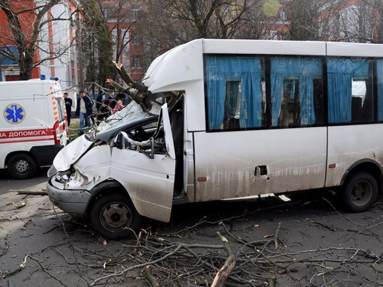 Дерево пробило лобове скло маршрутного таксі