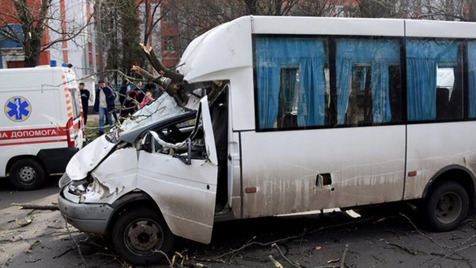 Дерево пробило лобове скло маршрутного таксі