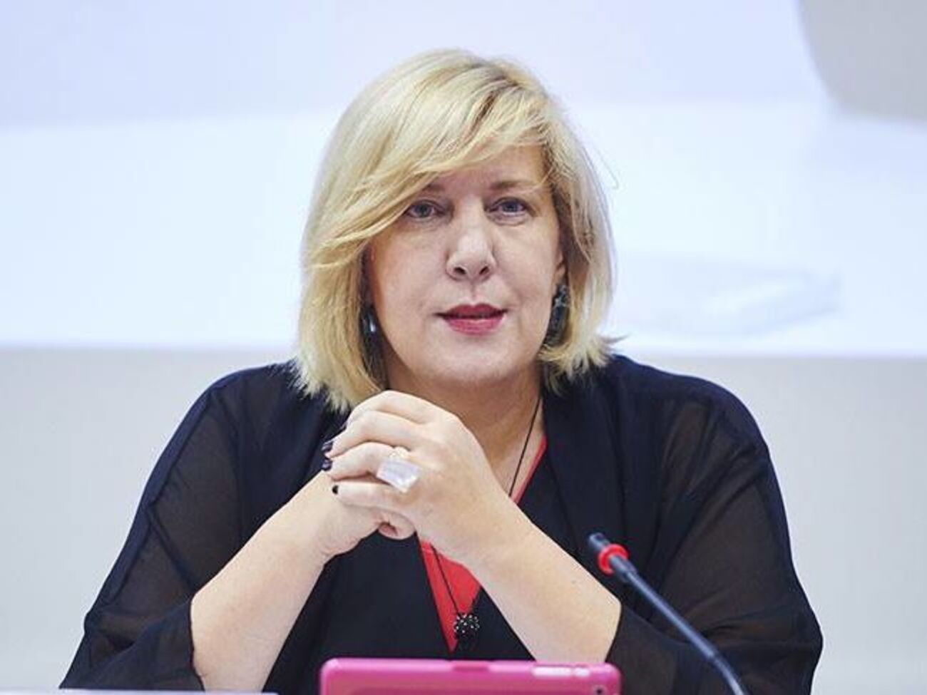 Миятович: Государства-члены Совета Европы должны тщательно сбалансировать&nbsp; цель поддержки государственного языка и обязанность защищать и поддерживать использование языков меньшинств