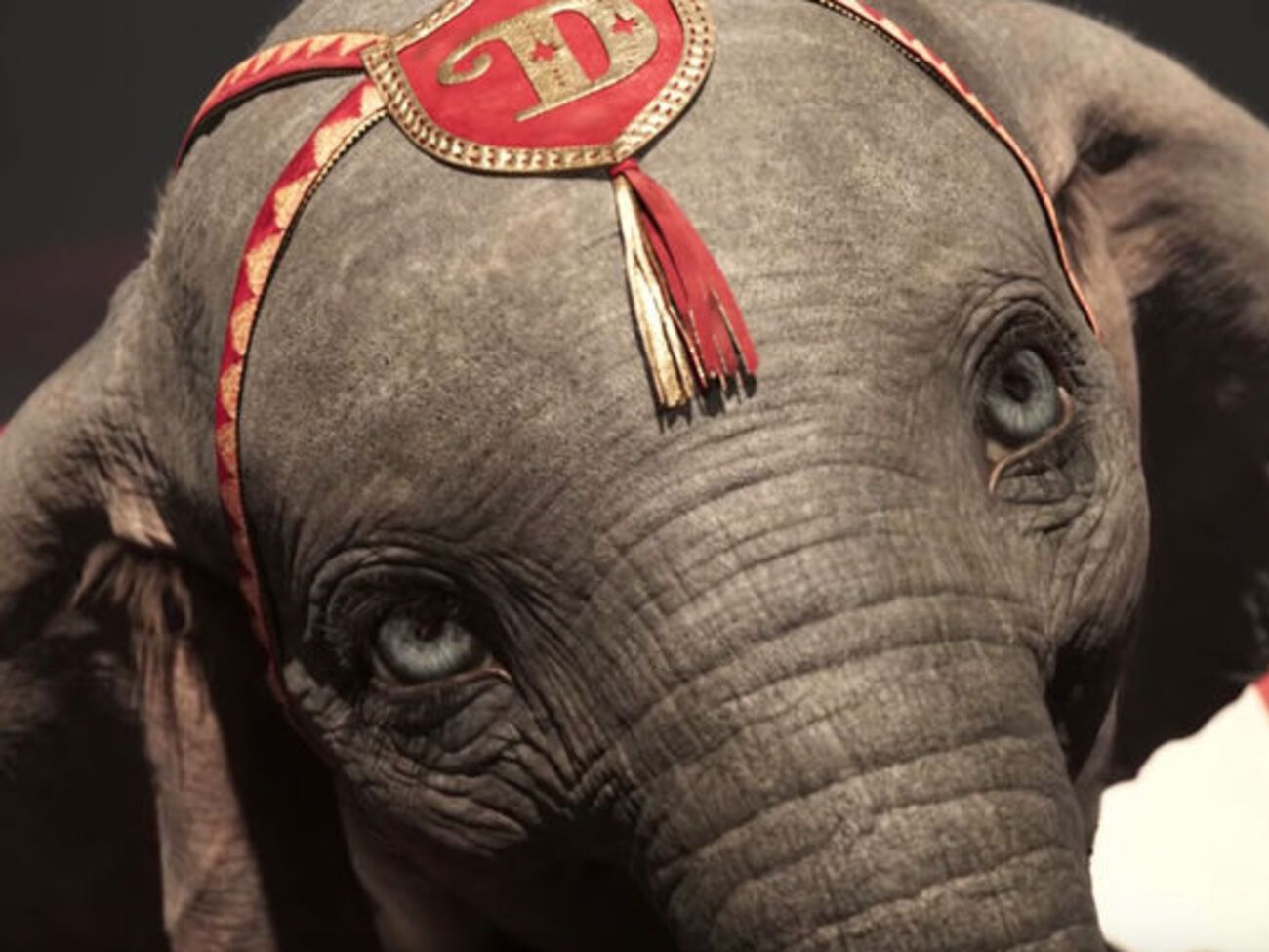 Главный герой ролика&nbsp;&ndash; слоненок Дамбо