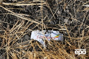 Літак, який прямував з Аддіс-Абеби в Найробі, розбився 10 березня