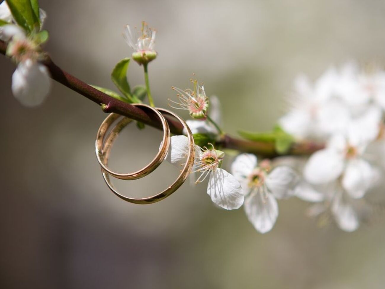 Кольцо символизировало бесконечность