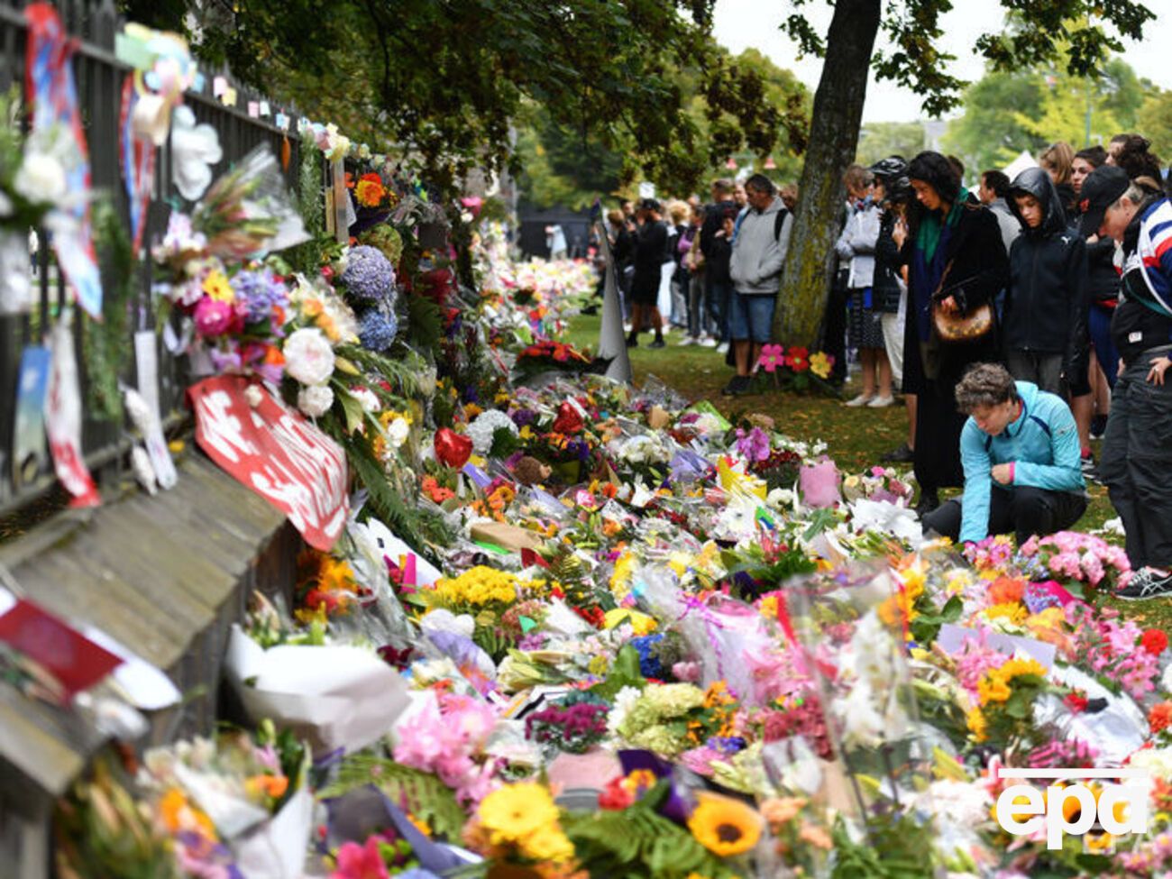 Число погибших в мечетях Крайстчерча выросло до 50