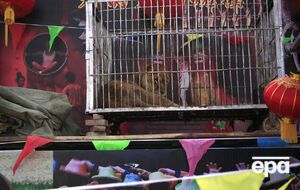 Киевский городской совет инициировал запрет цирков шапито с животными в 2017 году