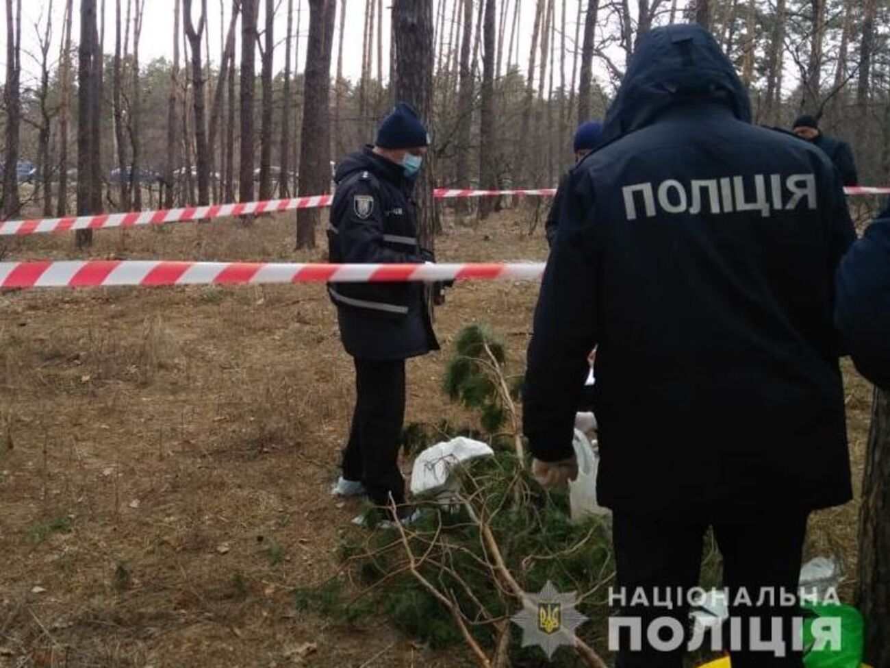 Тело обнаружили в лесополосе