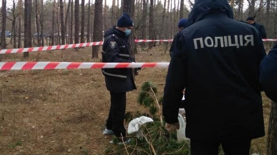 Тело обнаружили в лесополосе