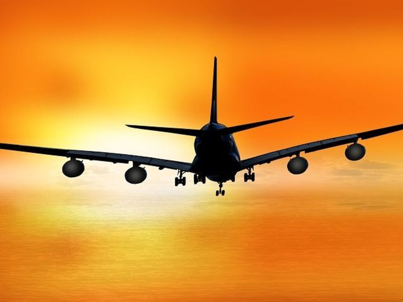 Літак не випустив шасі під час приземлення