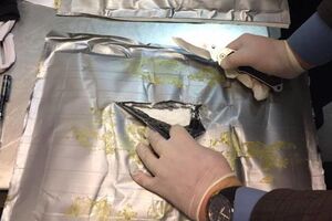 СБУ провела контрольоване постачання валіз із кокаїном в Ізраїль для викриття контрабандистів