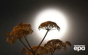 У такі ночі місячний диск здається на 14% більшим і на 30% яскравішим, ніж зазвичай