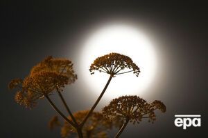 У такі ночі місячний диск здається на 14% більшим і на 30% яскравішим, ніж зазвичай