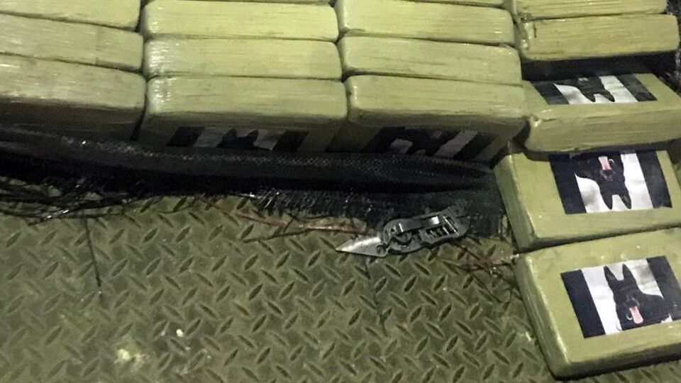 Партію кокаїну вилучили в порту "Южний" в Одеській області