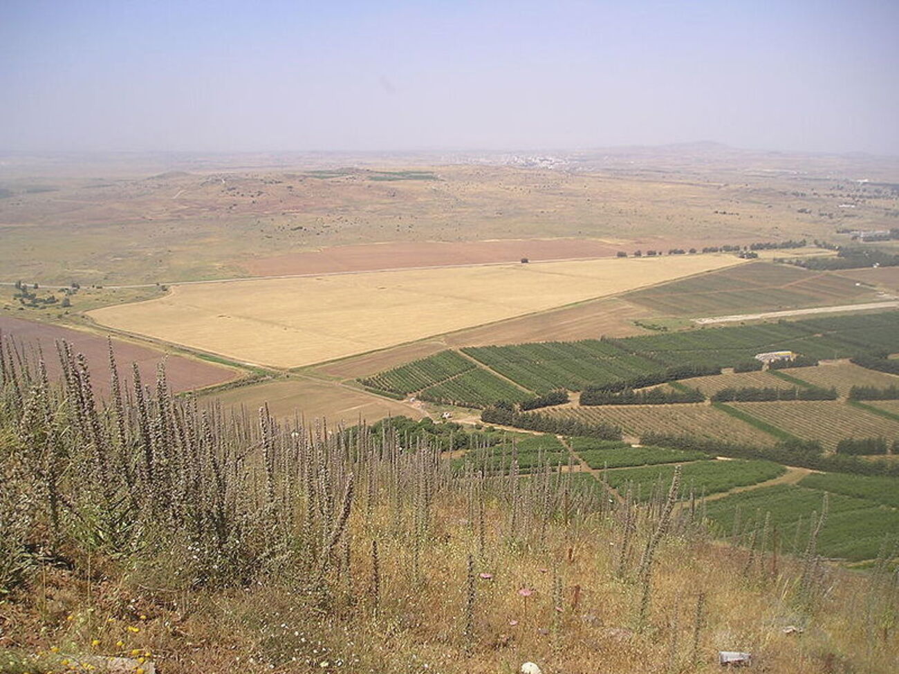 До 1967 року Голанські висоти були частиною сирійської провінції Кунейтра; із 1967 року їх окупував Ізраїль. Окупації Голанських висот не визнала ООН