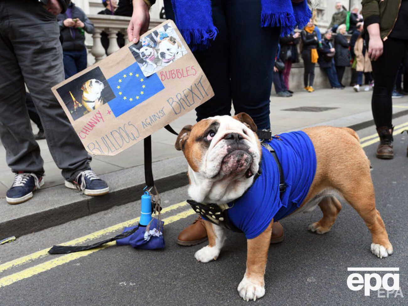 У марші брали участь не тільки люди, а й собаки