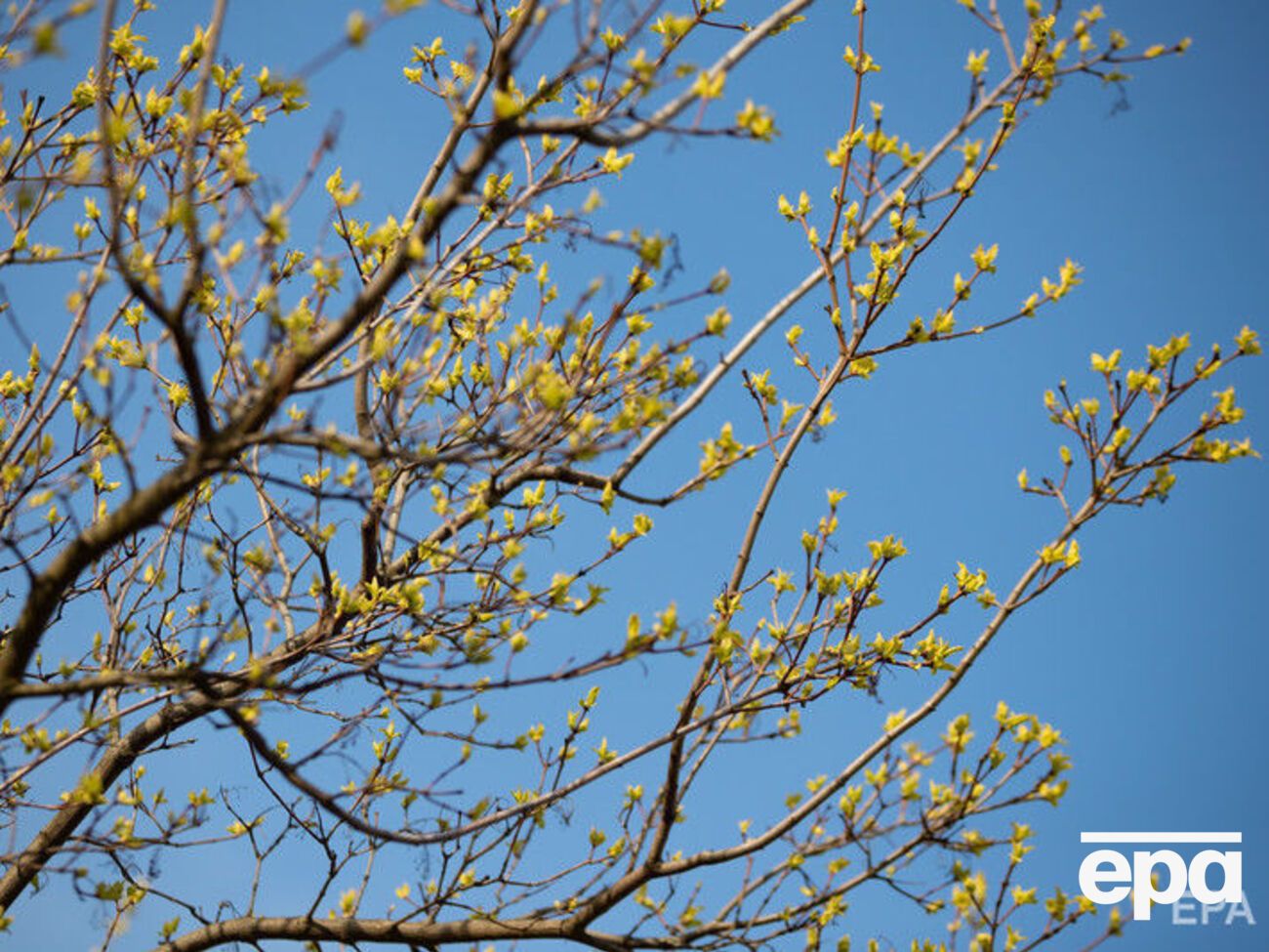 29 березня в Україні потеплішає