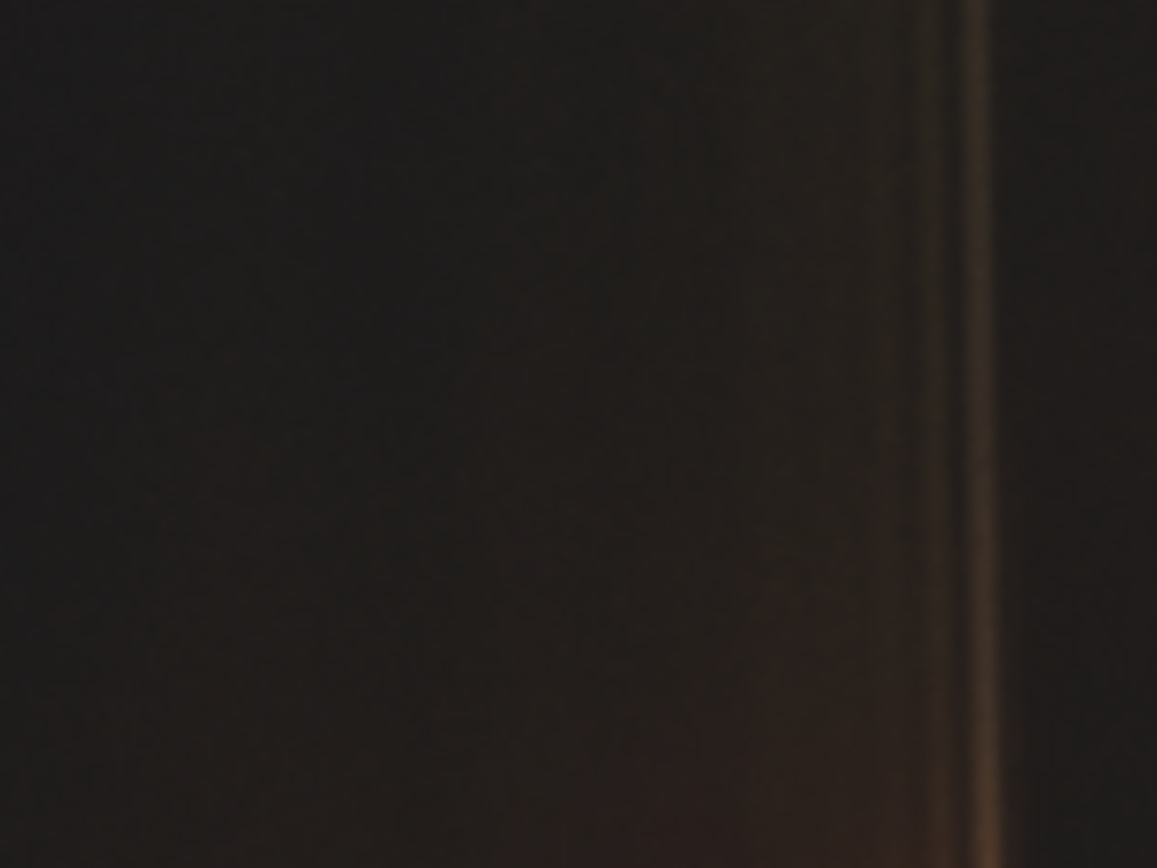 Адель Вакула виконала головну роль