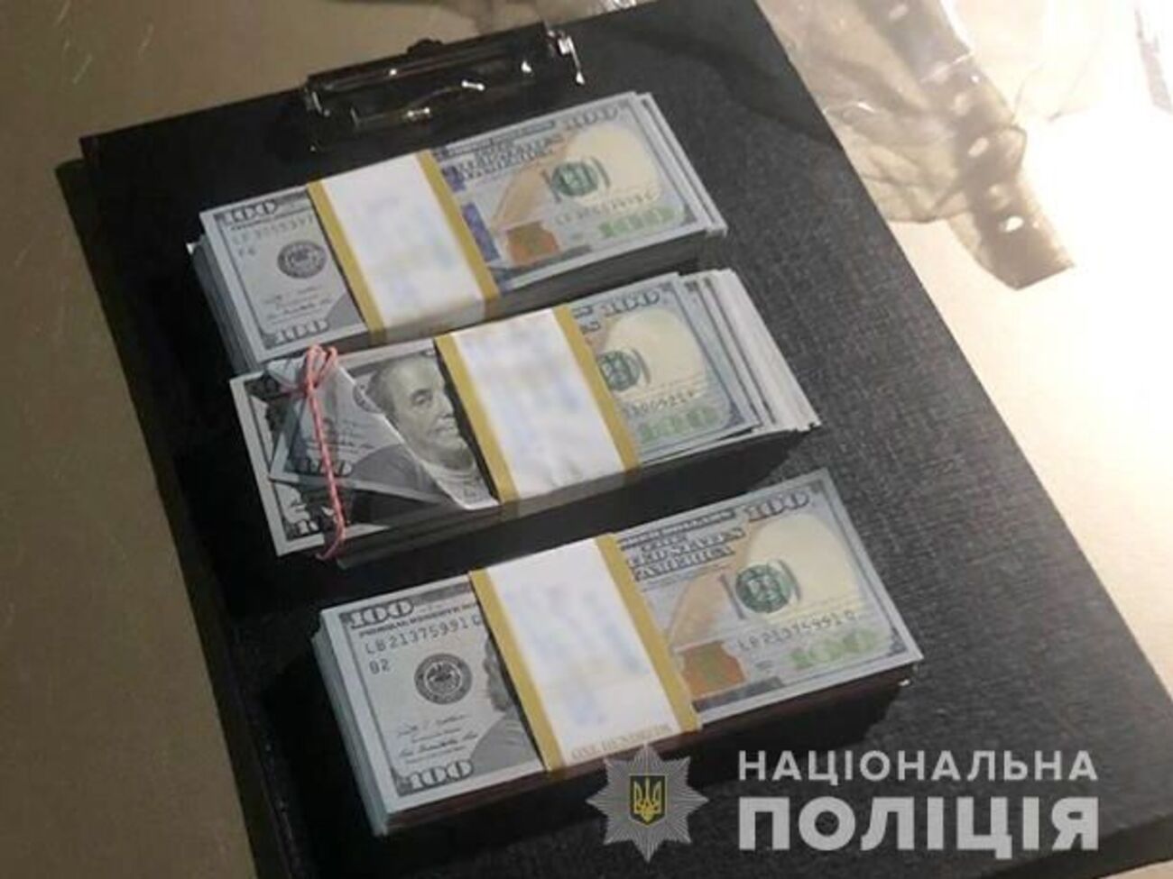У сільського голови в Житомирській області вилучили валюту