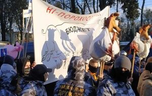 "Национальные дружины" принесли на акцию свиные головы