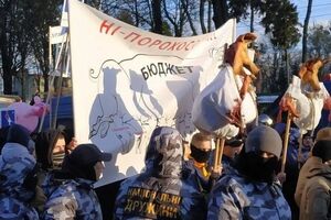 "Національні дружини" принесли на акцію свинячі голови