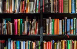 В Україну заборонили ввозити 10 російських книг